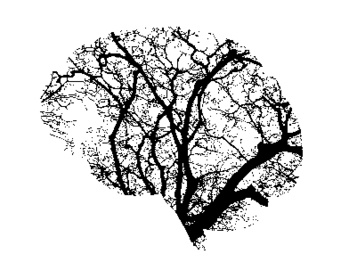 Photo Pixabay Photo Pixabay