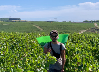 Sébastien Burel : "Ambiance morose dans le vignoble français en dépit d’une vendange pleine et de qualité "
