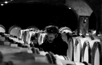 "Dans le vignoble avec la famille Trapet" par Bertrand Coty