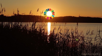 "La Covid va-t-elle tuer le développement durable ?" par Sébastien BOLLE "La Covid va-t-elle tuer le développement durable ?" par Sébastien BOLLE