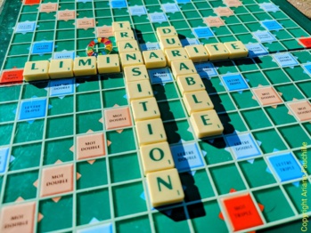 "La liminarité : 1er frein des élections ?" par Sébastien Bolle "La liminarité : 1er frein des élections ?" par Sébastien Bolle