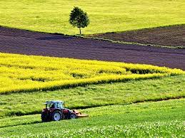 Par Philippe Cahen : "L’agriculture cette inconnue"