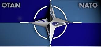 "L'OTAN et la cyberdéfense" par Christophe Cornu