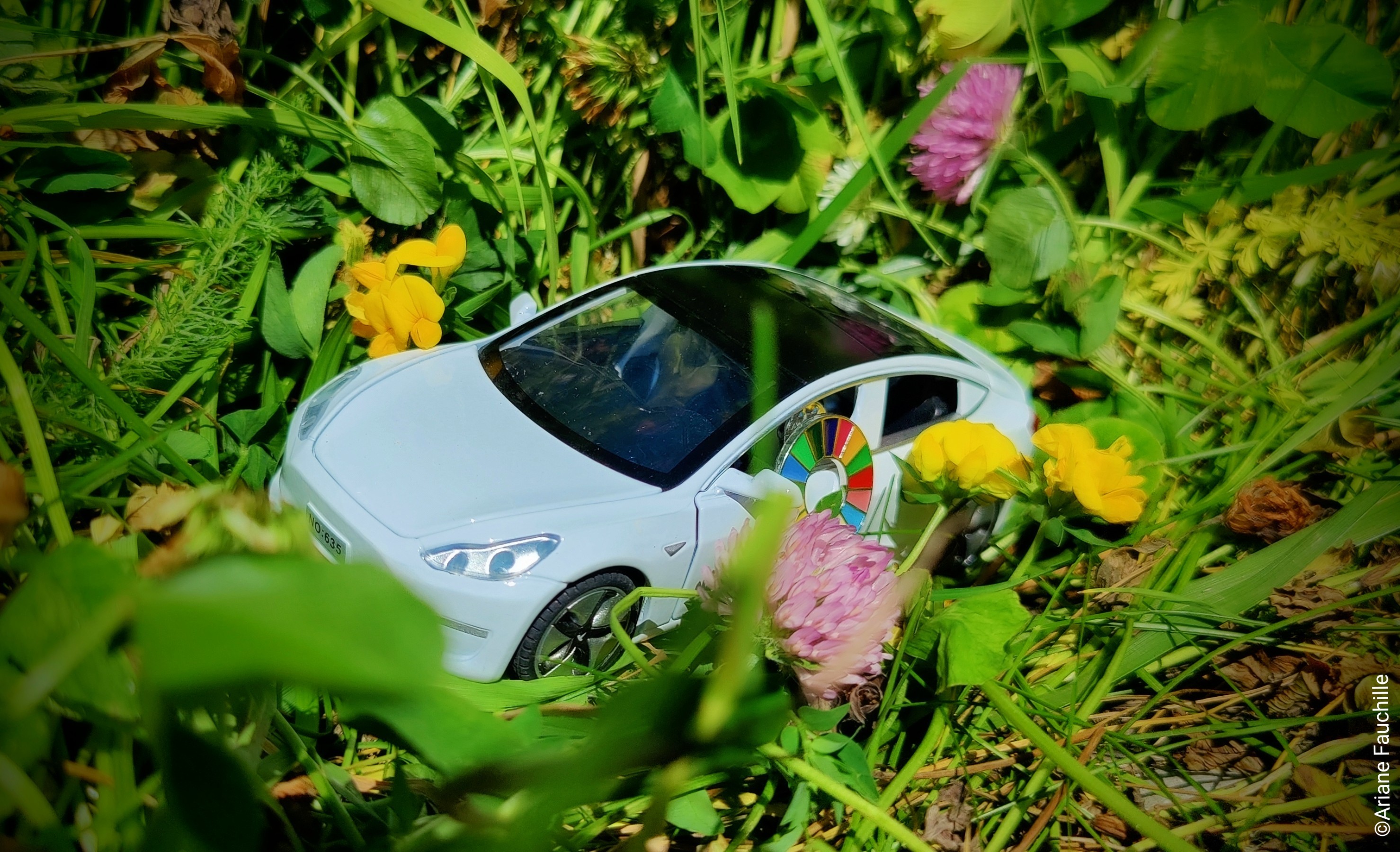 "La Voiture électrique va-t-elle sauver le monde ?" par Sébastien Bolle